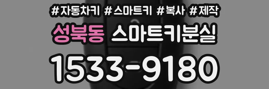 성북동 스마트키분실