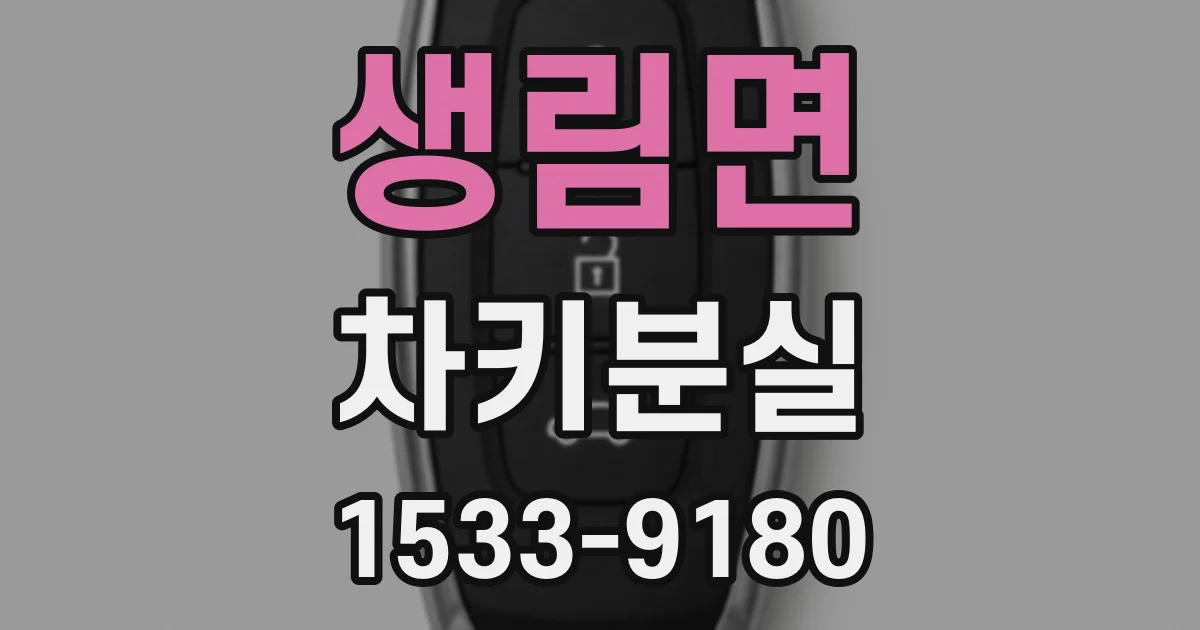 생림면 차키분실