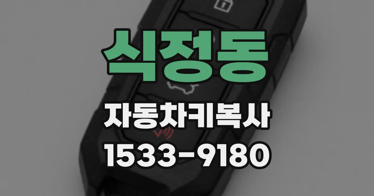 식정동 자동차키복사
