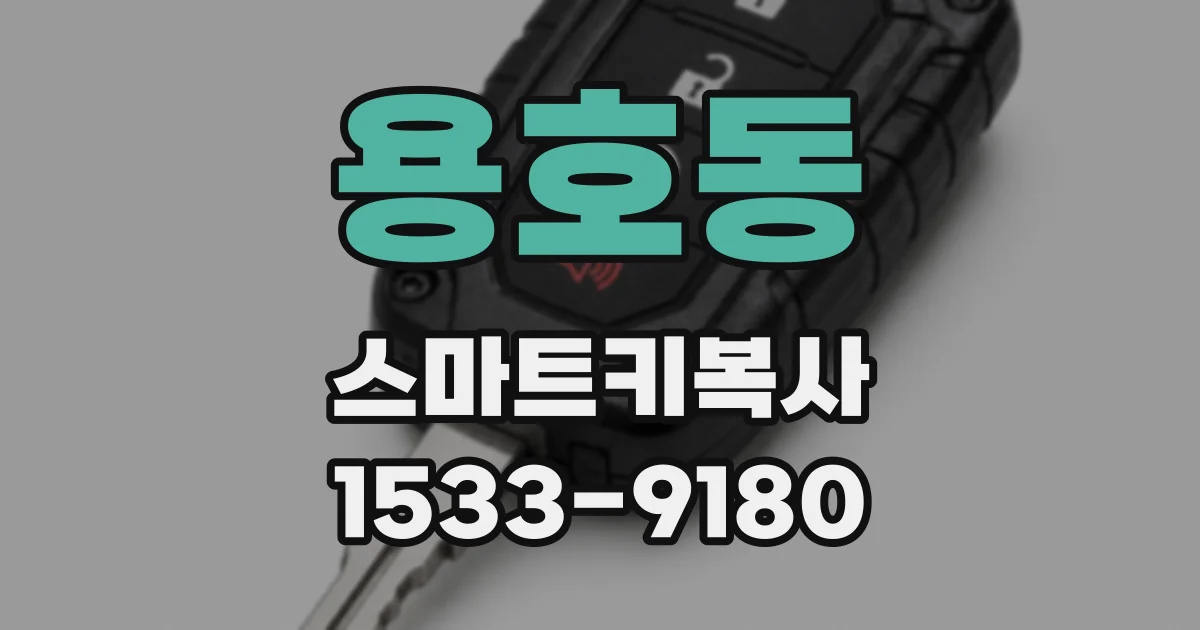 용호동 스마트키복사