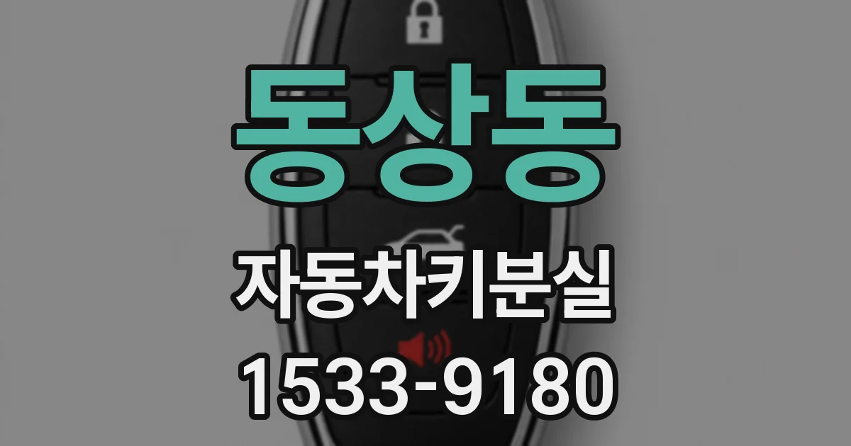 동상동 자동차키분실