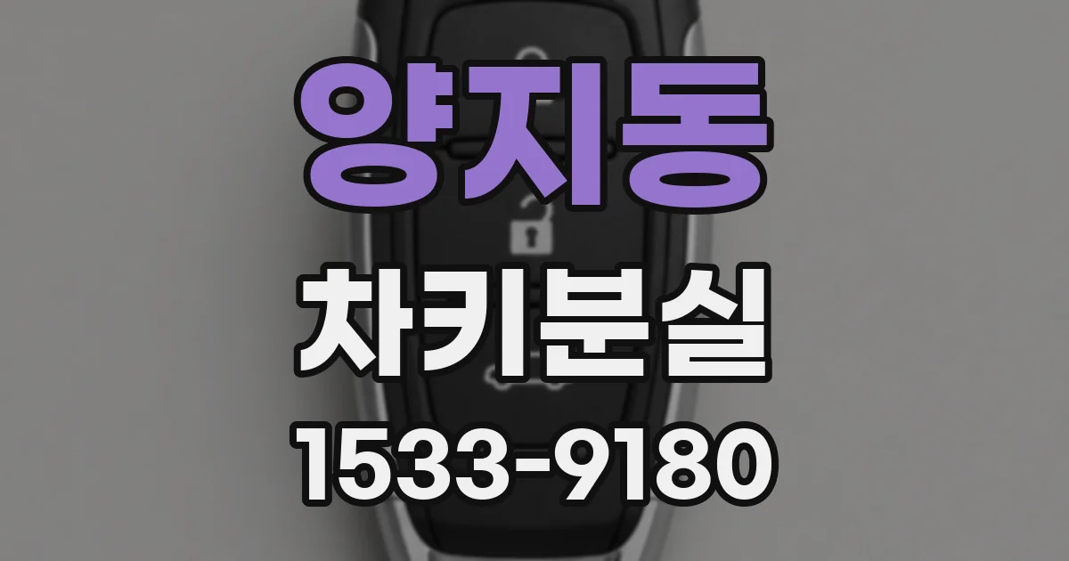양지동 차키분실