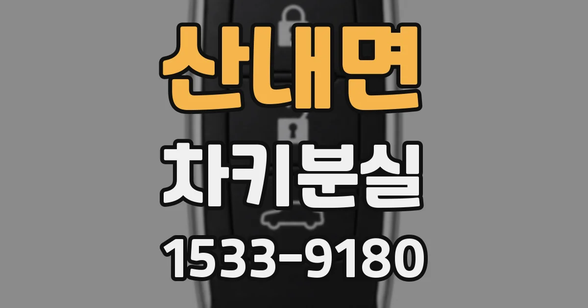산내면 차키분실