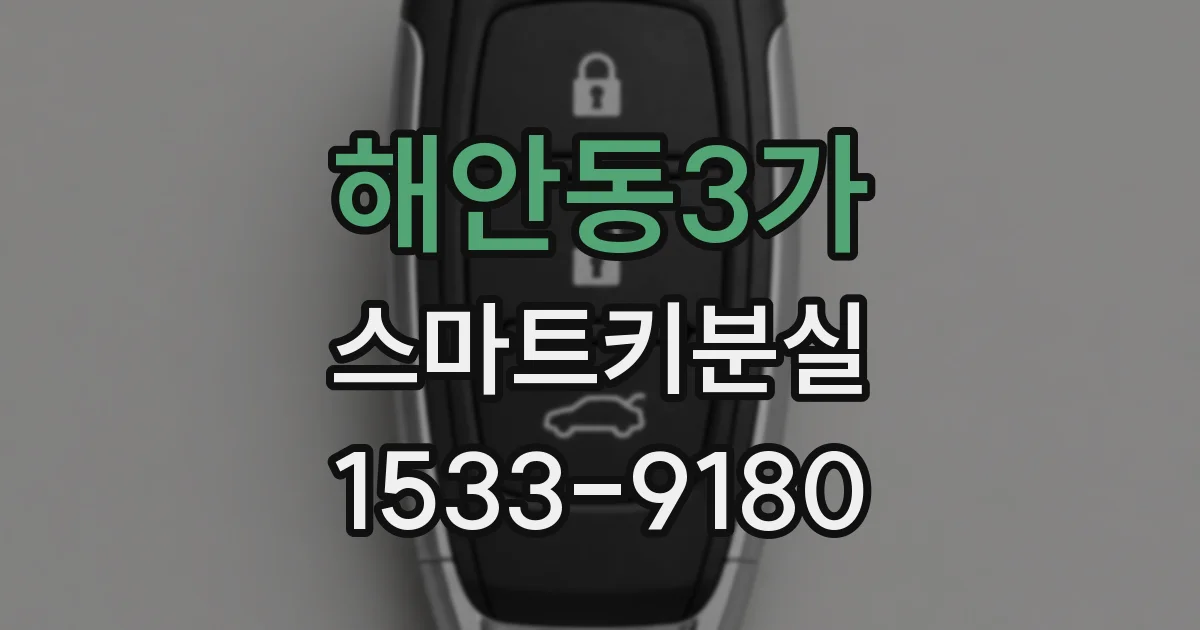 해안동3가 스마트키분실
