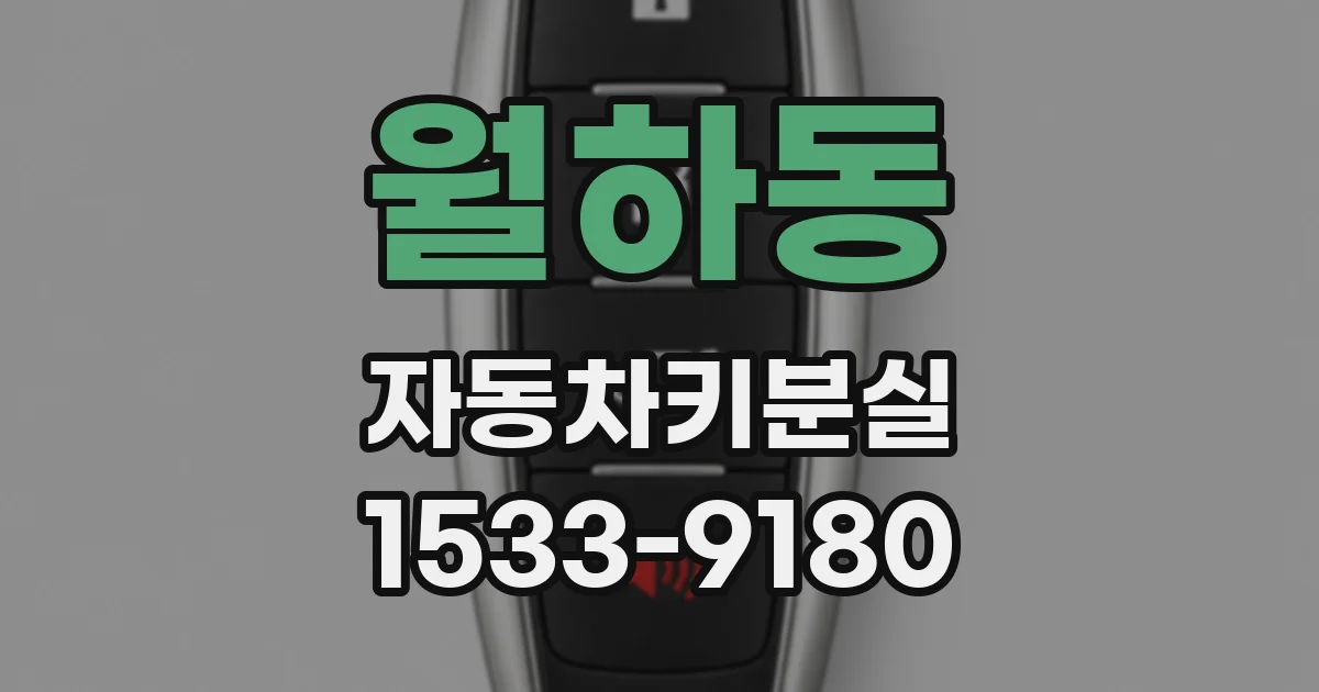 월하동 자동차키분실