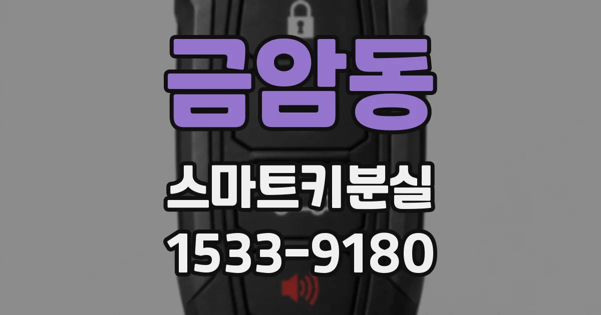 금암동 스마트키분실