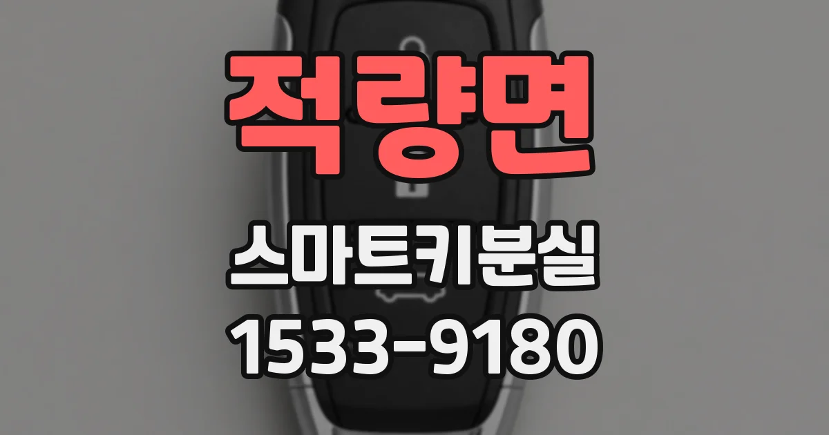 적량면 스마트키분실