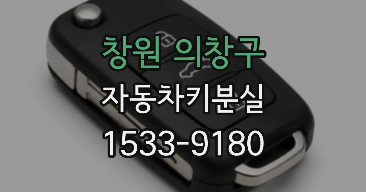 창원 의창구 자동차키분실