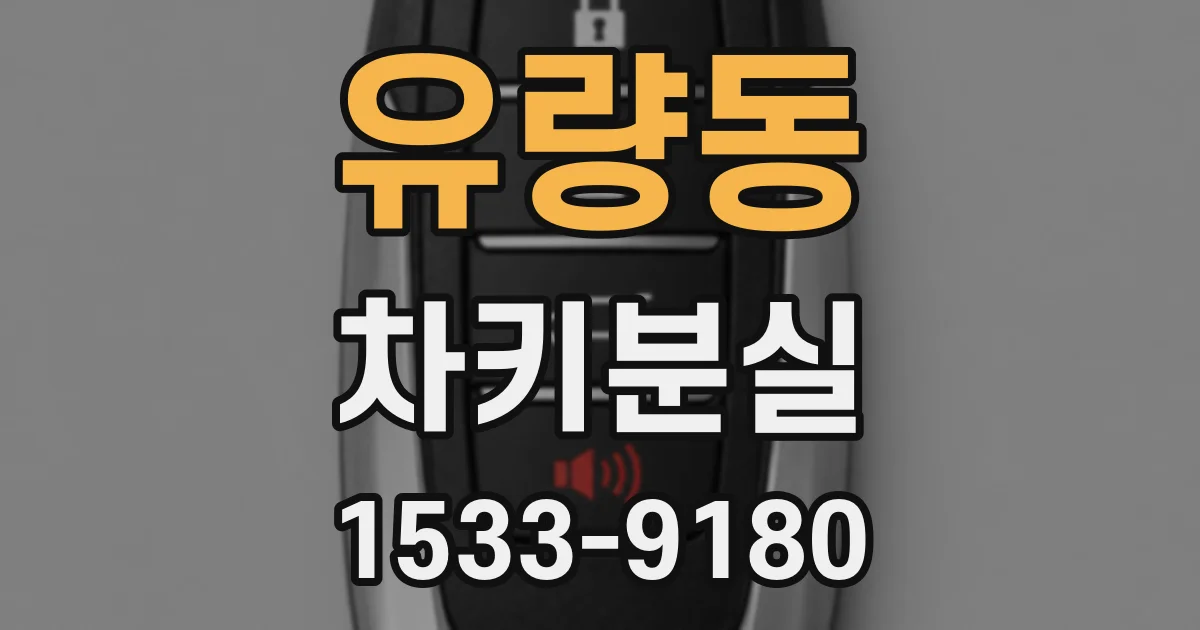 유량동 차키분실