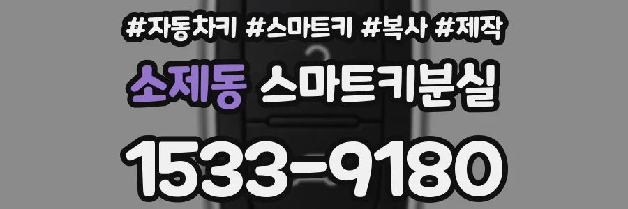 소제동 스마트키분실