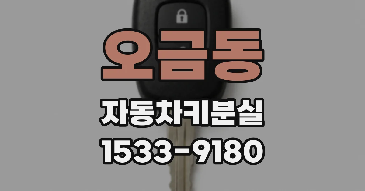 오금동 자동차키분실