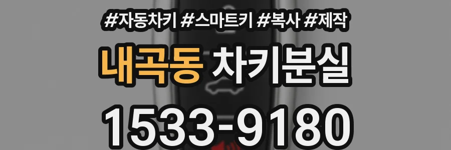 내곡동 차키분실