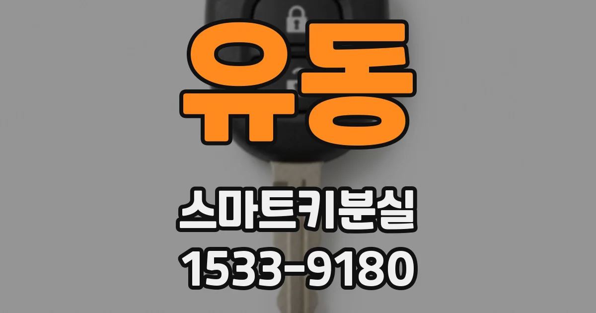 유동 스마트키분실