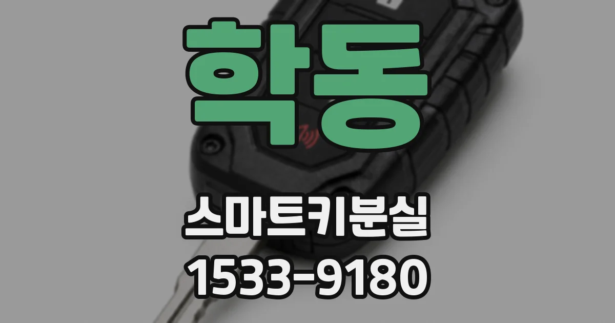 학동 스마트키분실