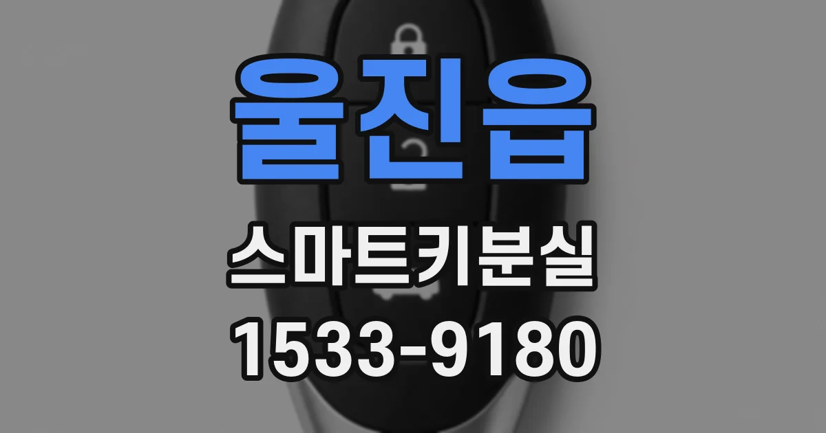 울진읍 스마트키분실