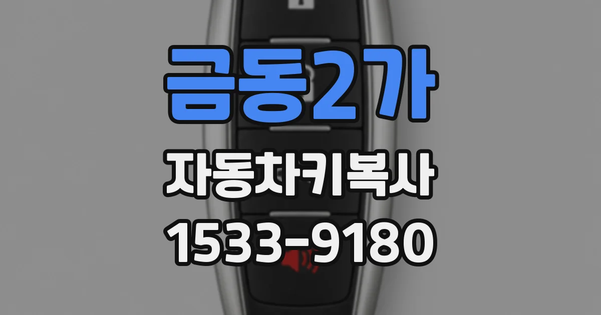 금동2가 자동차키복사