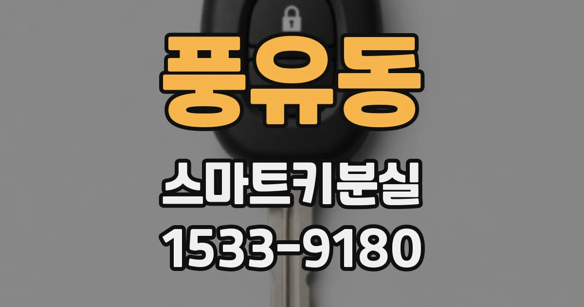 풍유동 스마트키분실