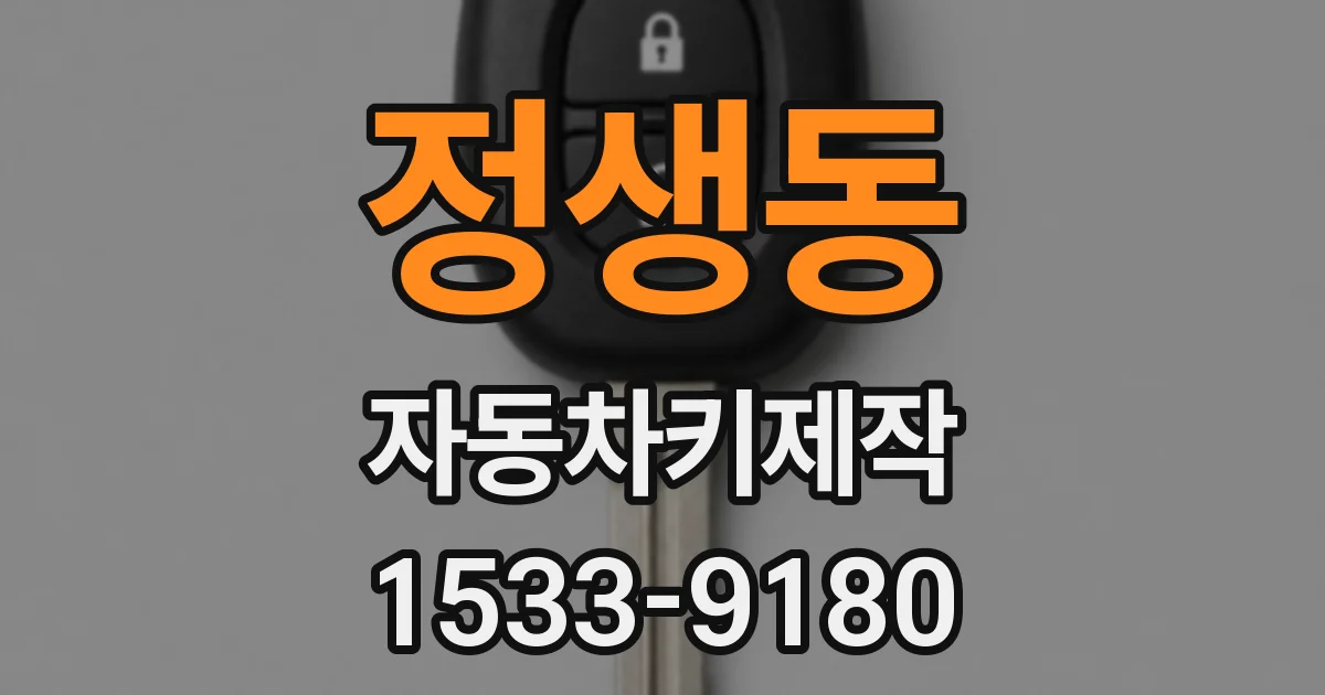 정생동 자동차키제작