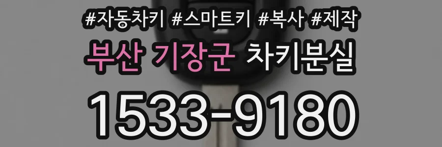 부산 기장군 차키분실