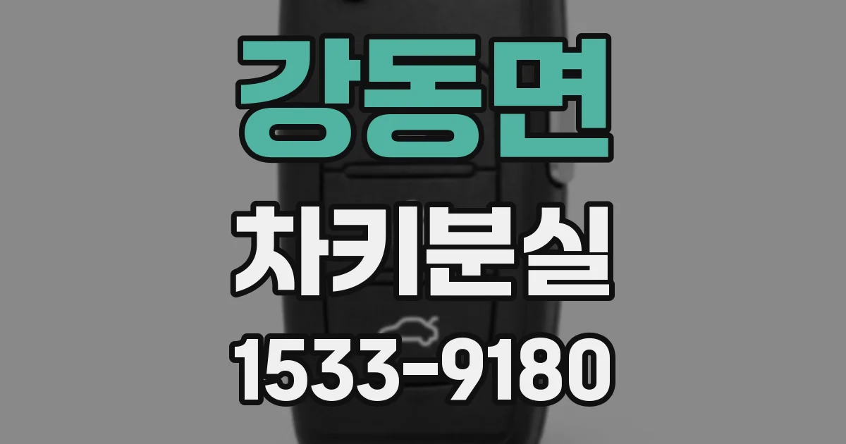 강동면 차키분실