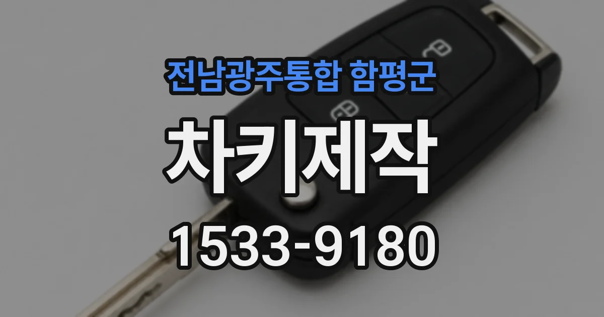 전남광주통합 함평군 차키제작