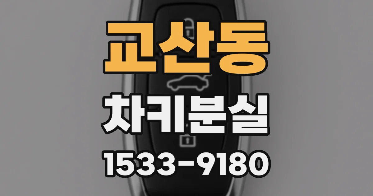 교산동 차키분실