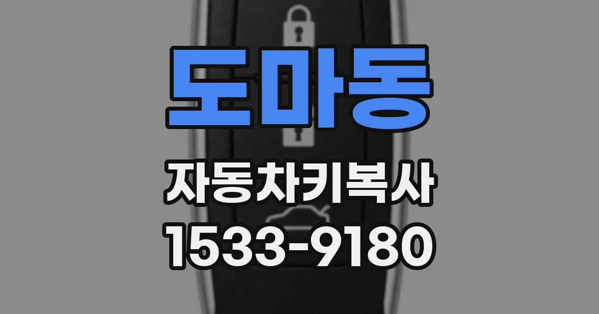 도마동 자동차키복사
