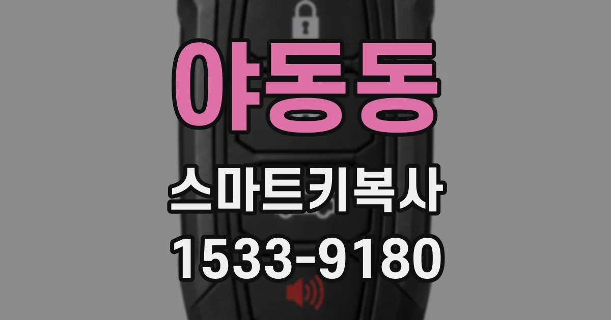 야동동 스마트키복사