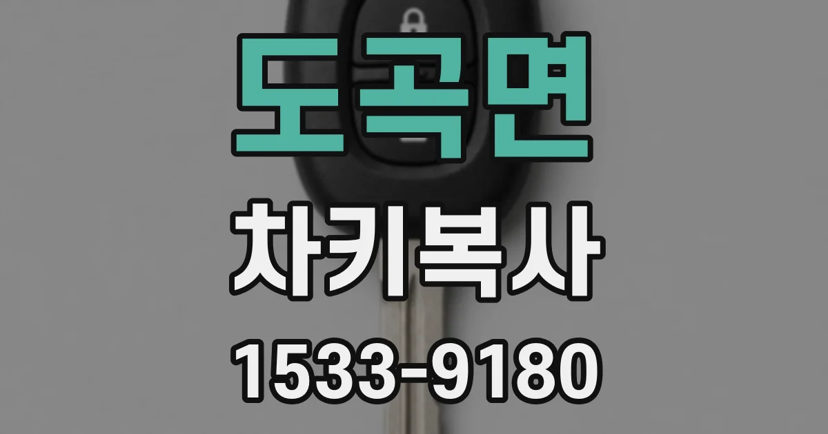 도곡면 차키복사