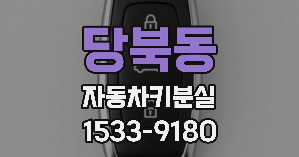 당북동 자동차키분실
