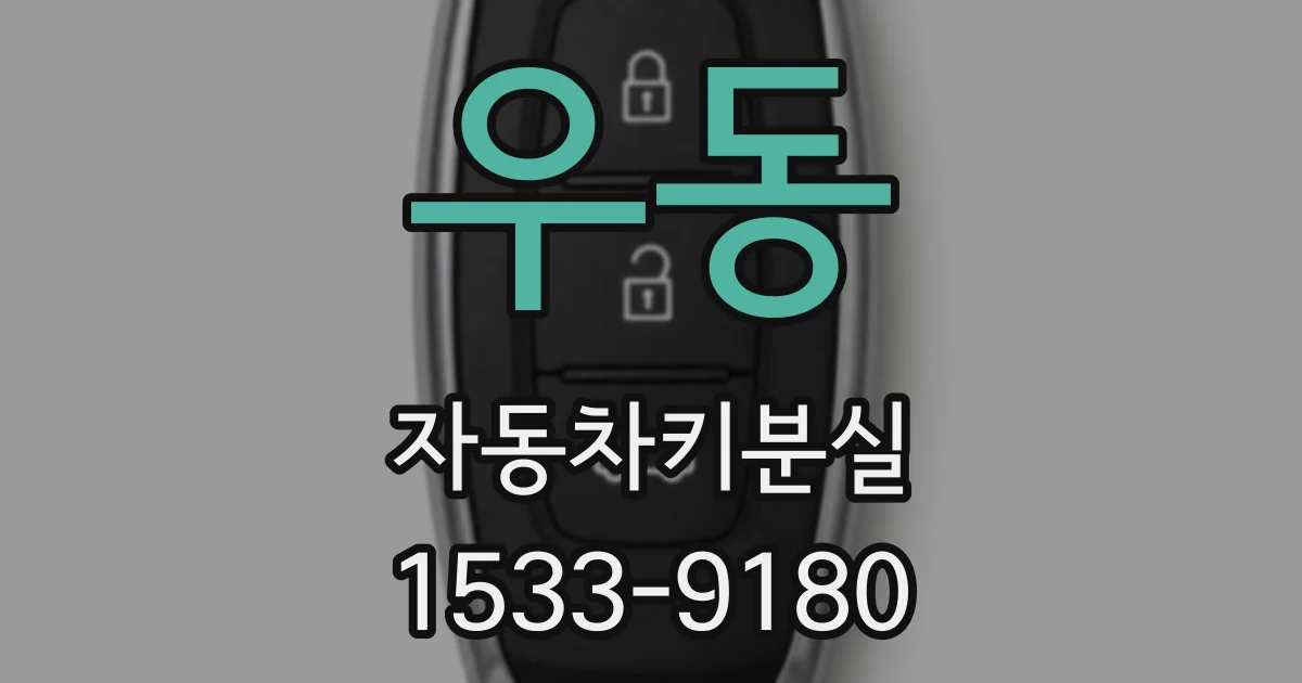 우동 자동차키분실