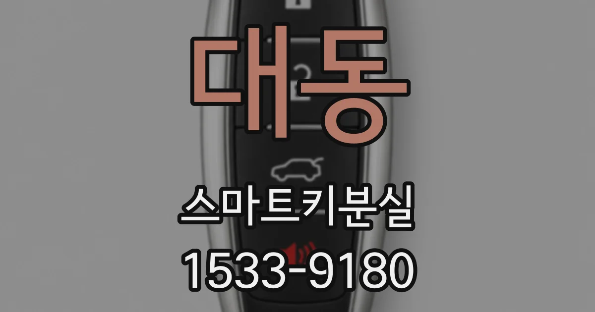 대동 스마트키분실