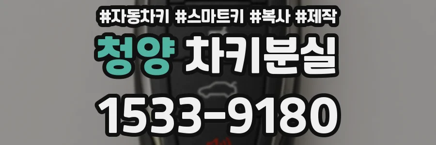 청양 차키분실