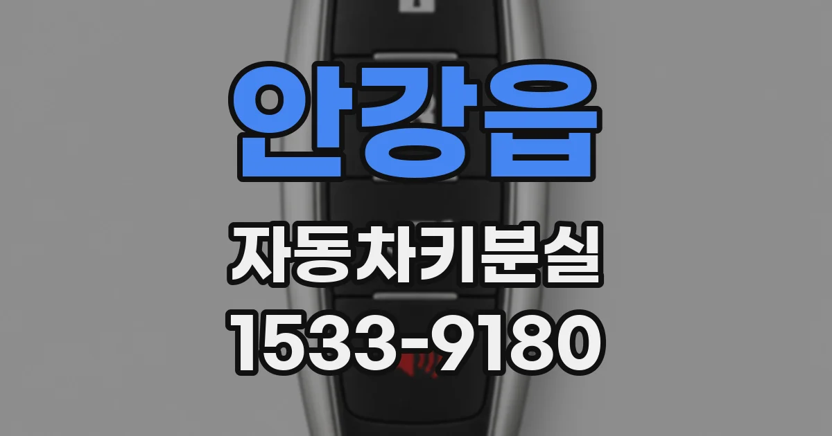 안강읍 자동차키분실