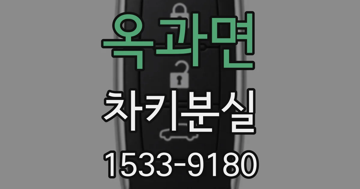 옥과면 차키분실
