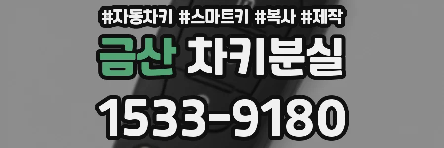 금산 차키분실