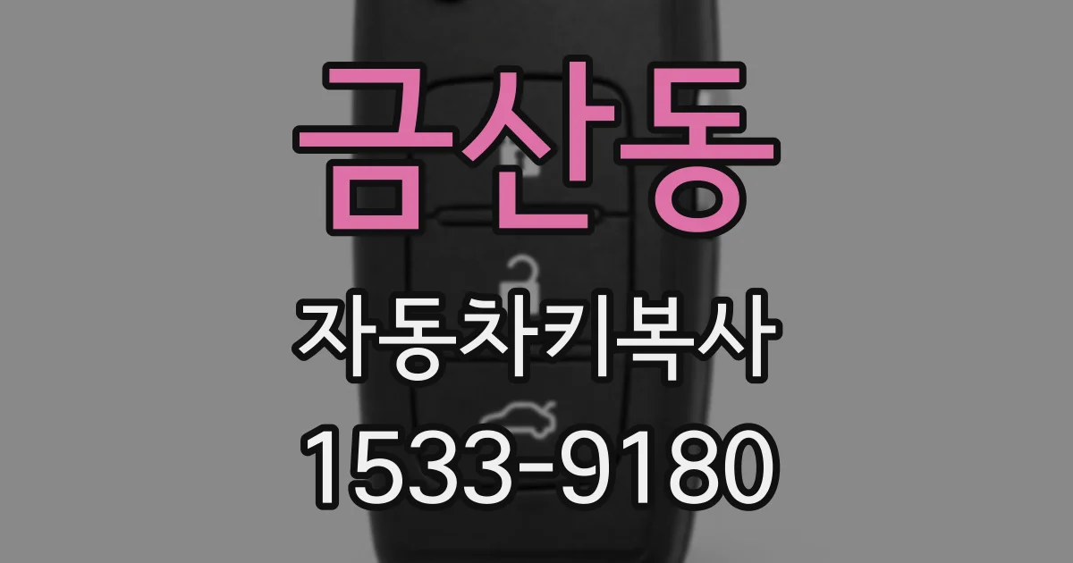 금산동 자동차키복사