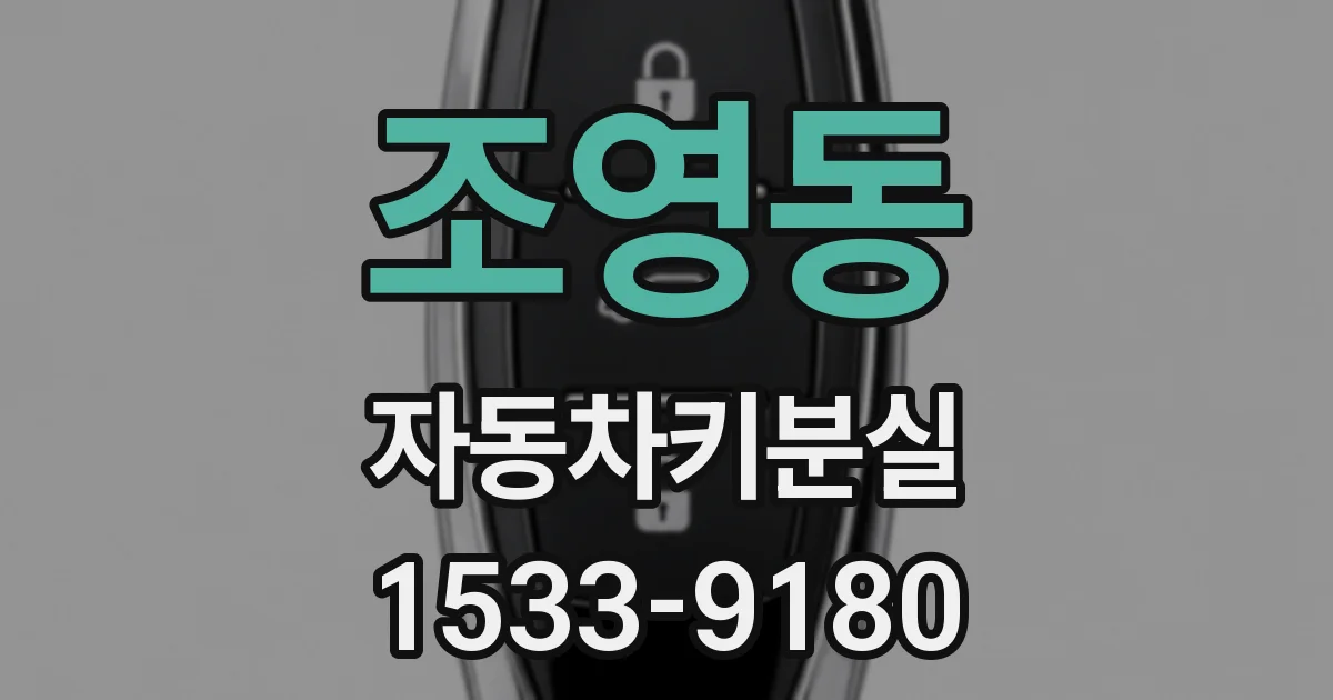 조영동 자동차키분실