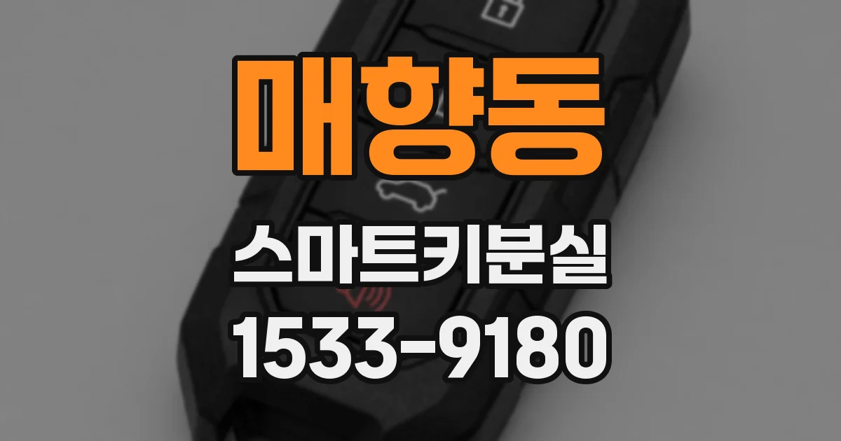 매향동 스마트키분실