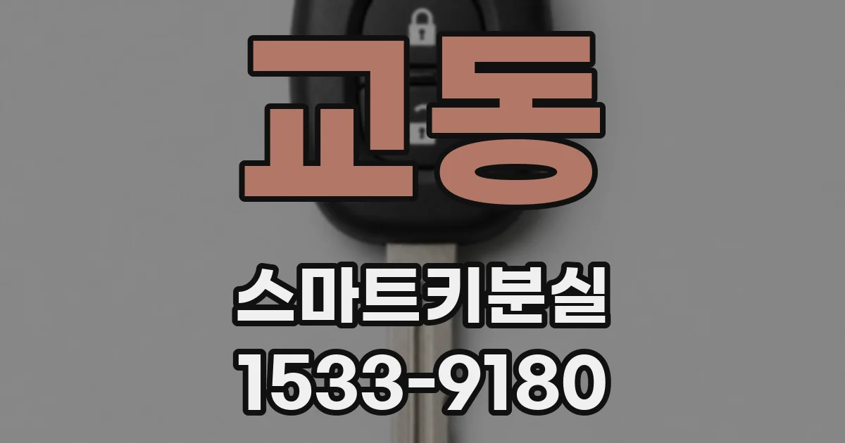 교동 스마트키분실
