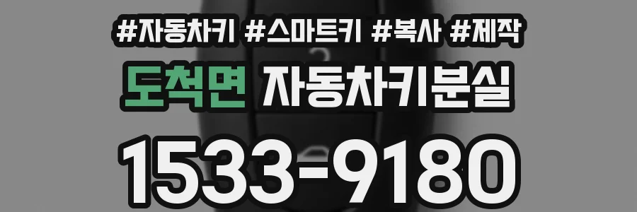 도척면 자동차키분실