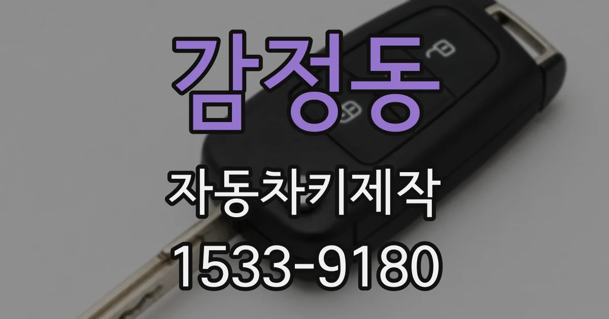 감정동 자동차키제작