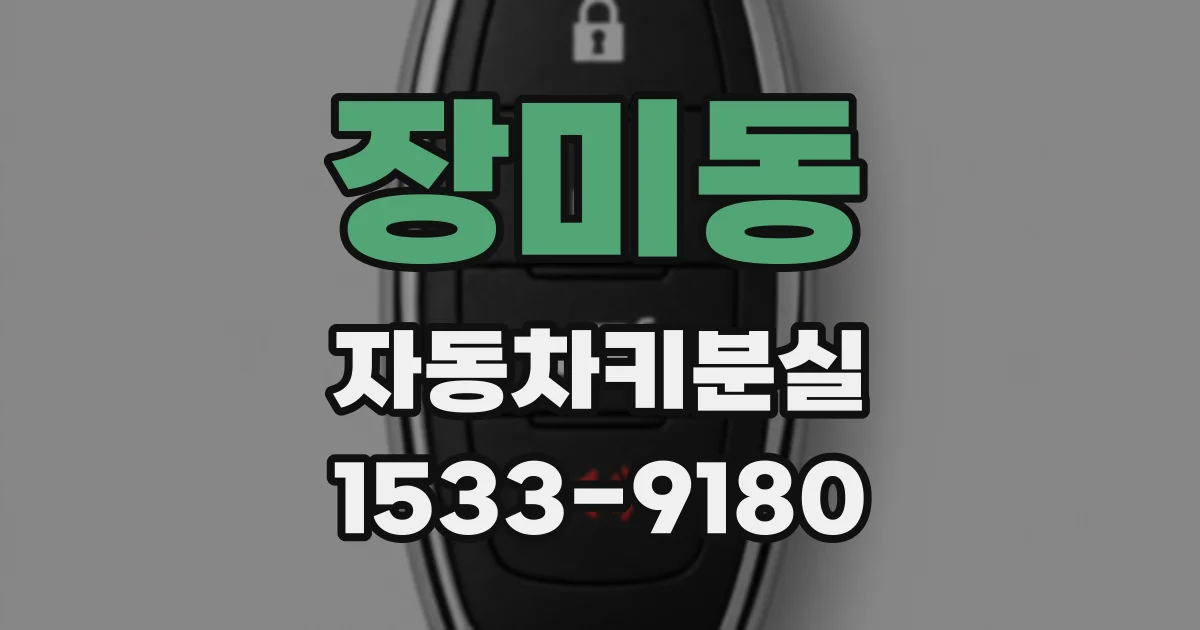 장미동 자동차키분실