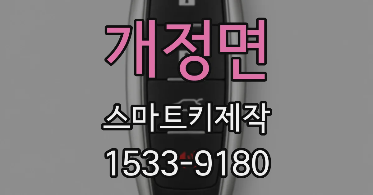 개정면 스마트키제작