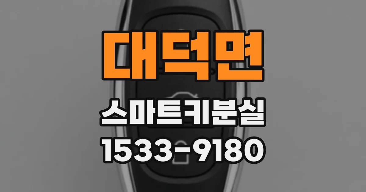 대덕면 스마트키분실