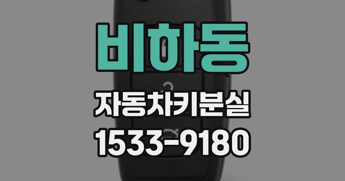 비하동 자동차키분실
