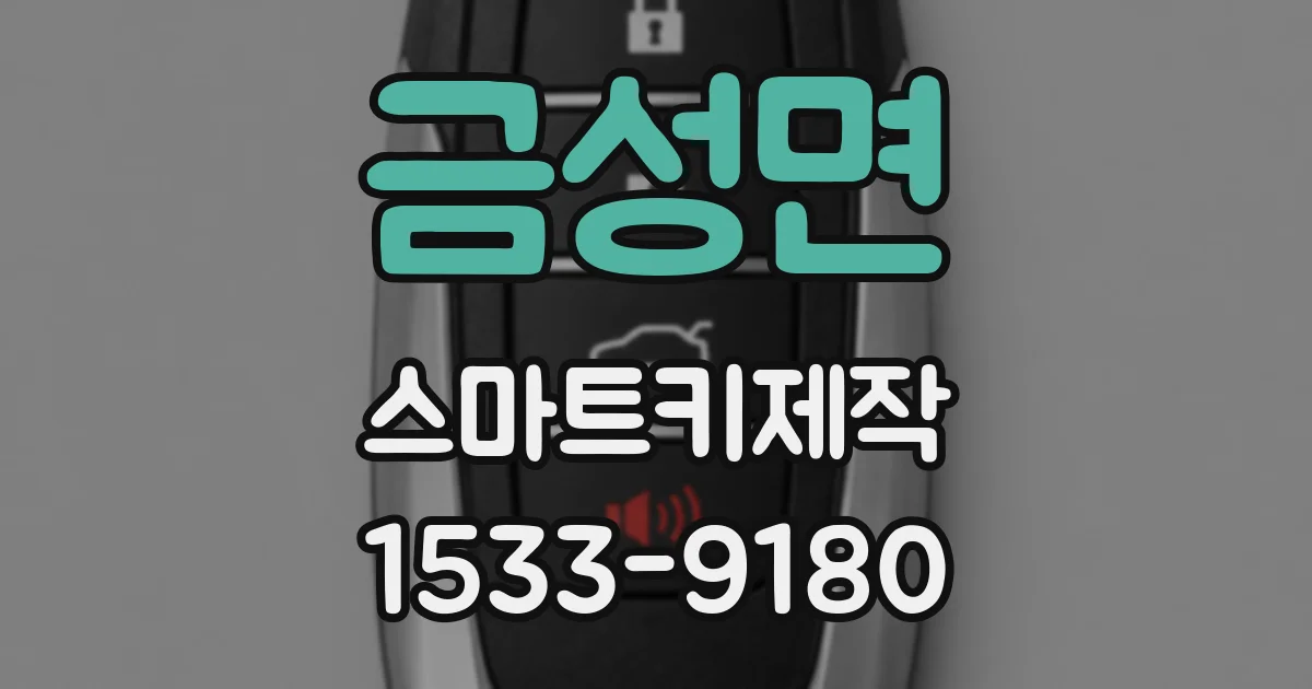 금성면 스마트키제작