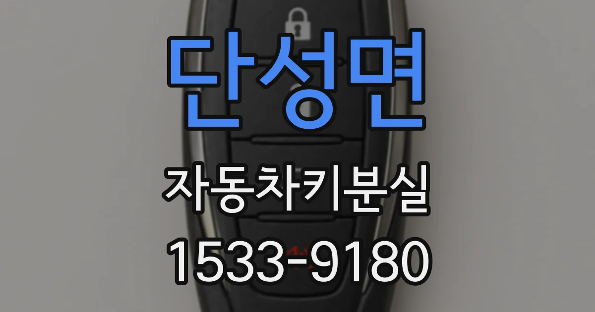 단성면 자동차키분실