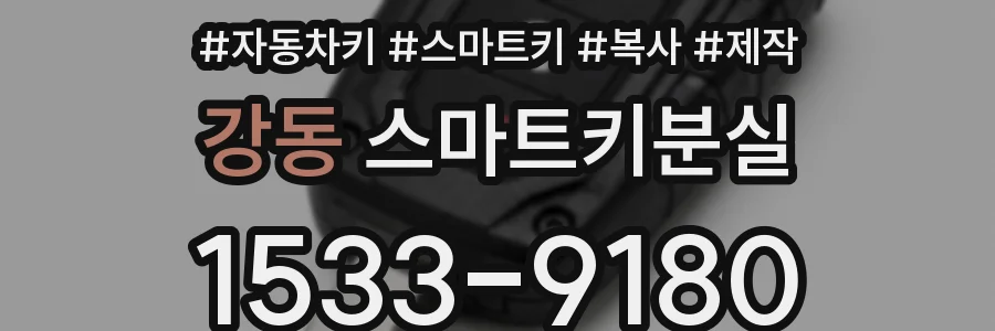 강동 스마트키분실