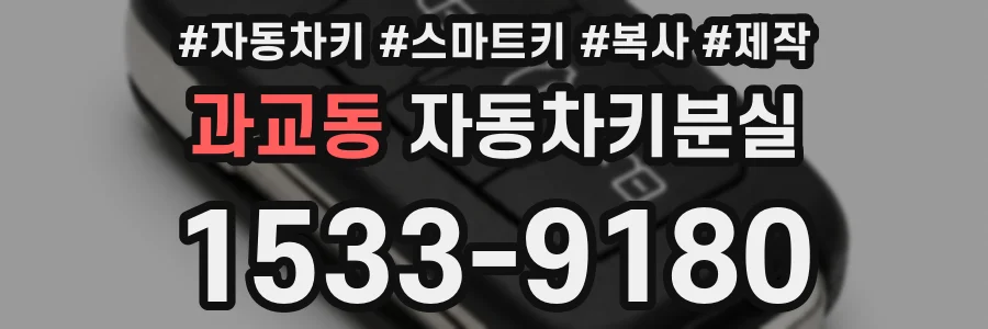 과교동 자동차키분실
